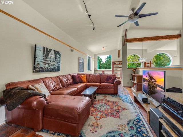 living area with track lighting, ceiling fan, lofted ceiling with beams, and wood finished floors