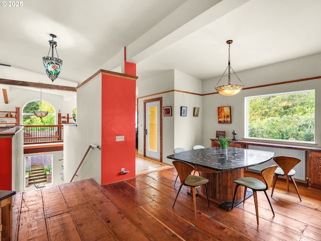 dining room with wood-type flooring, radiator, and plenty of natural light