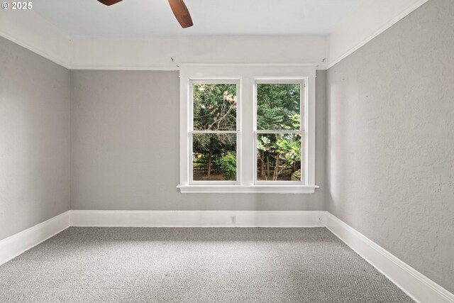 unfurnished room with ceiling fan and carpet