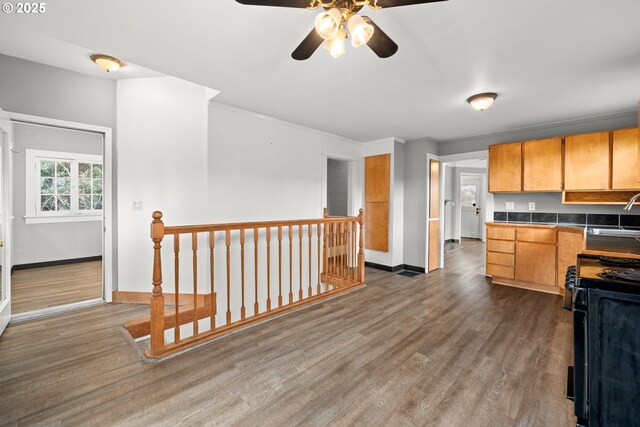 kitchen with sink, dark hardwood / wood-style flooring, and gas stove