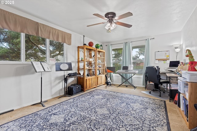 office area featuring ceiling fan and carpet flooring