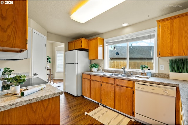 kitchen with white appliances, a sink, dark wood-style floors, and plenty of natural light