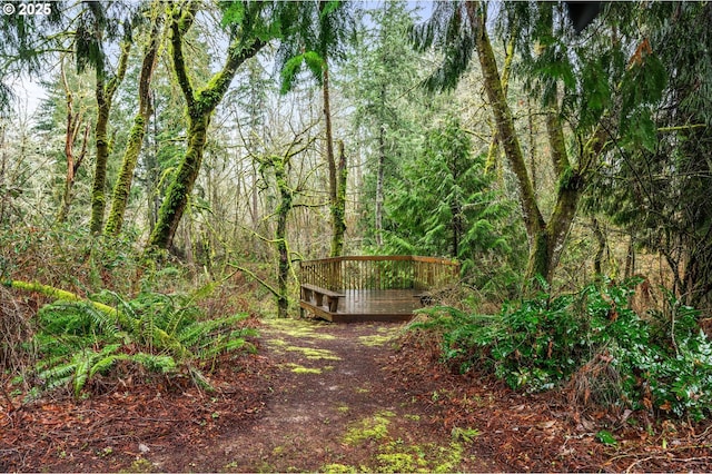 view of yard featuring a view of trees