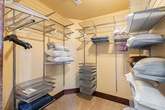 walk in closet with visible vents and carpet flooring