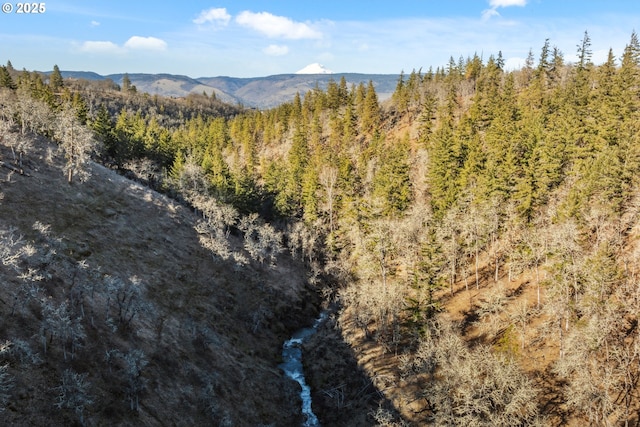 property view of mountains with a view of trees