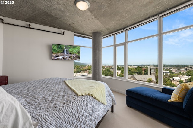 1926 W Burnside St Unit 1401, Portland, OR 97209 - carpeted bedroom featuring a barn door