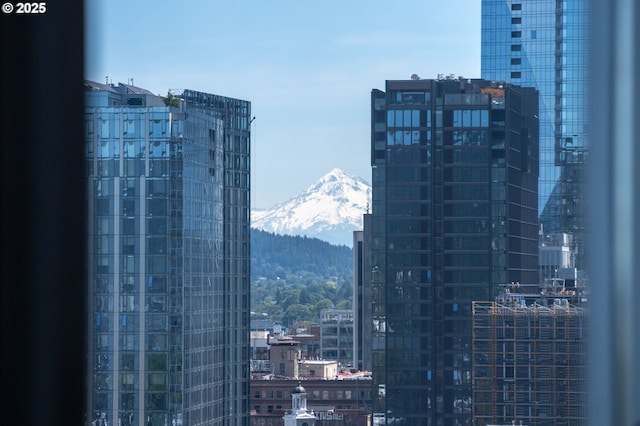 1926 W Burnside St Unit 1401, Portland, OR 97209 - city view with a mountain backdrop