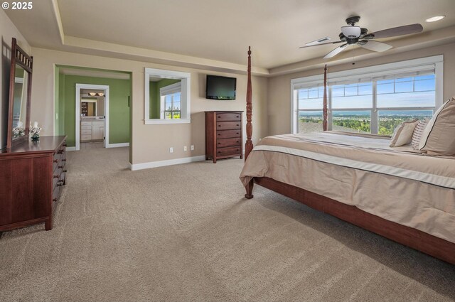 bedroom with light colored carpet, multiple windows, baseboards, and a raised ceiling