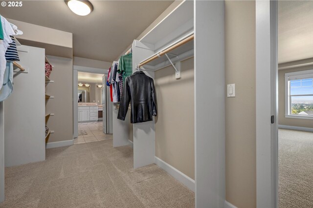 spacious closet featuring carpet floors