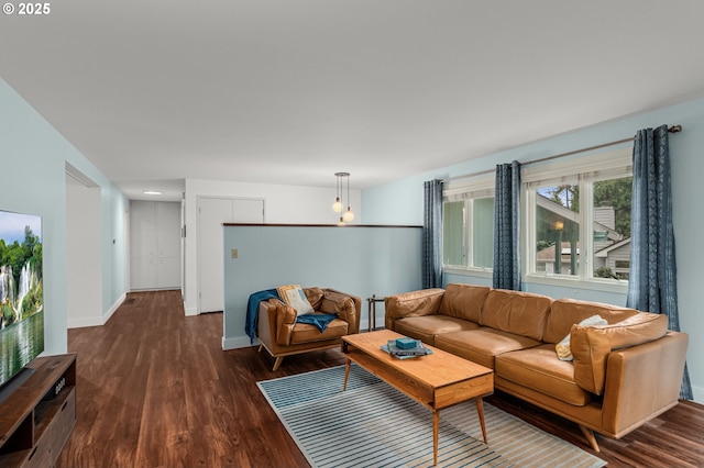 living room with dark wood-type flooring