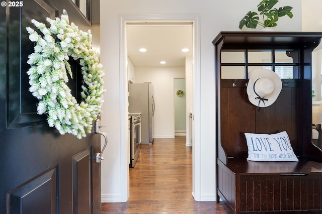 mudroom featuring dark wood-type flooring