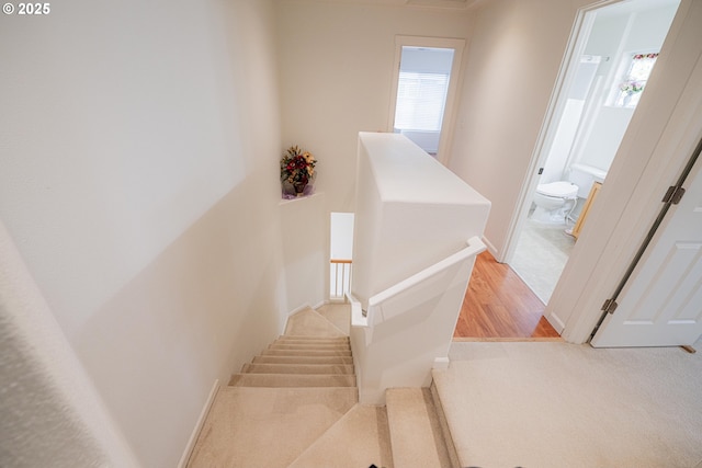 stairs with carpet, baseboards, and a wealth of natural light