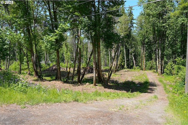Goodpasture Rd, Vida, OR 97488