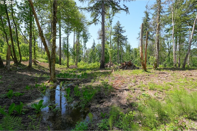 Goodpasture Rd, Vida, OR 97488
