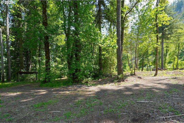 Goodpasture Rd, Vida, OR 97488