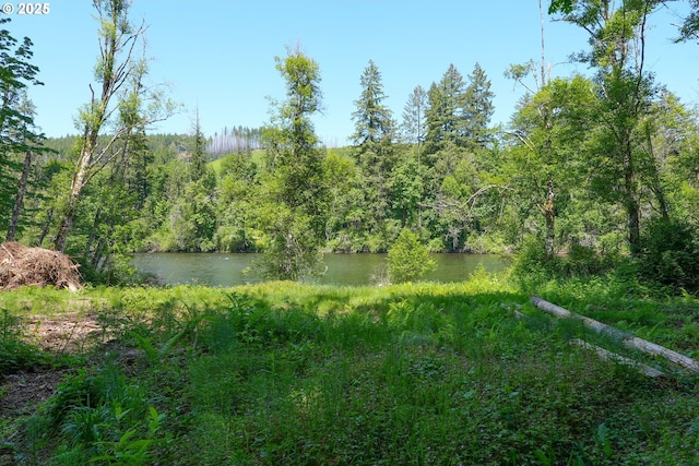 Goodpasture Rd, Vida, OR 97488