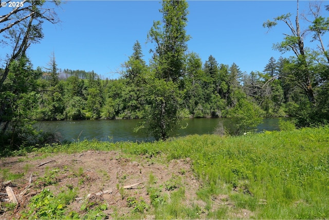 Goodpasture Rd, Vida, OR 97488