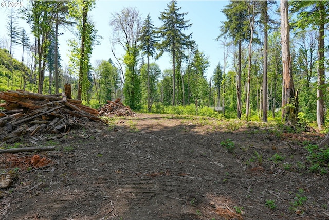 Goodpasture Rd, Vida, OR 97488