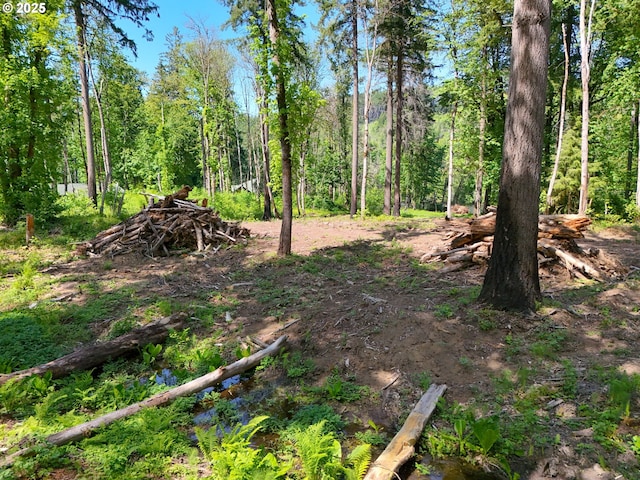 Goodpasture Rd, Vida, OR 97488