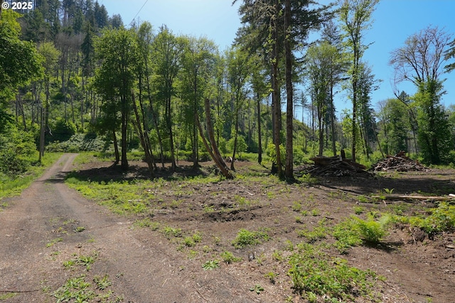 Goodpasture Rd, Vida, OR 97488