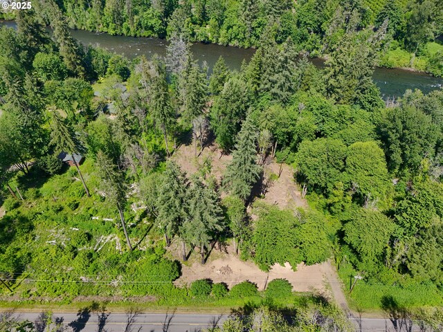 Goodpasture Rd, Vida, OR 97488