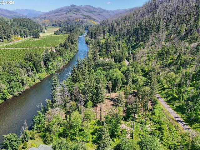 Goodpasture Rd, Vida, OR 97488