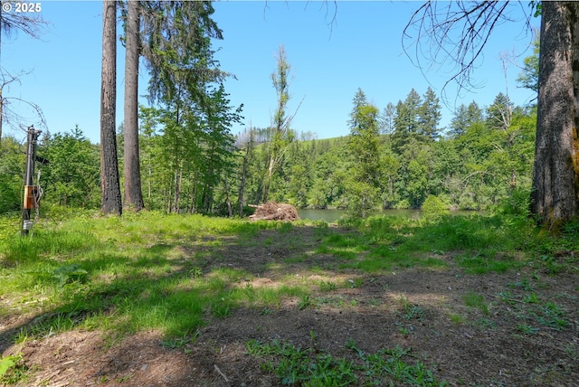 Goodpasture Rd, Vida, OR 97488