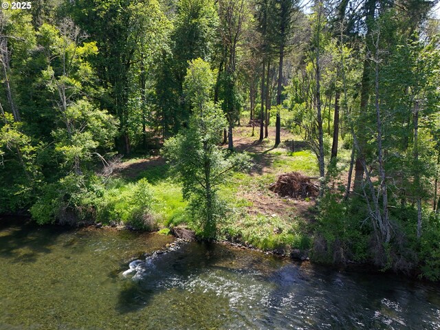 Goodpasture Rd, Vida, OR 97488