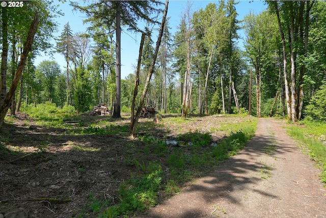 Goodpasture Rd, Vida, OR 97488
