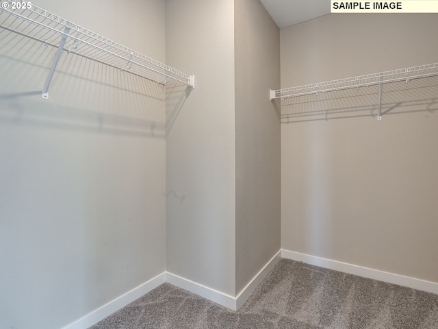 spacious closet featuring carpet floors