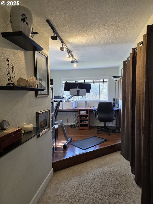 exercise room featuring track lighting, baseboards, carpet floors, and a textured ceiling