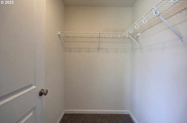 27 NW 6th Pl, Warrenton, OR 97146 - walk in closet featuring carpet floors