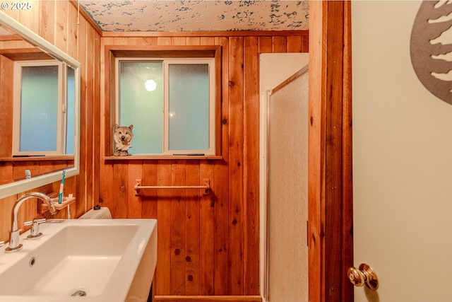 177 Northwoods, Cougar, WA 98616 - bathroom with a sink and wooden walls