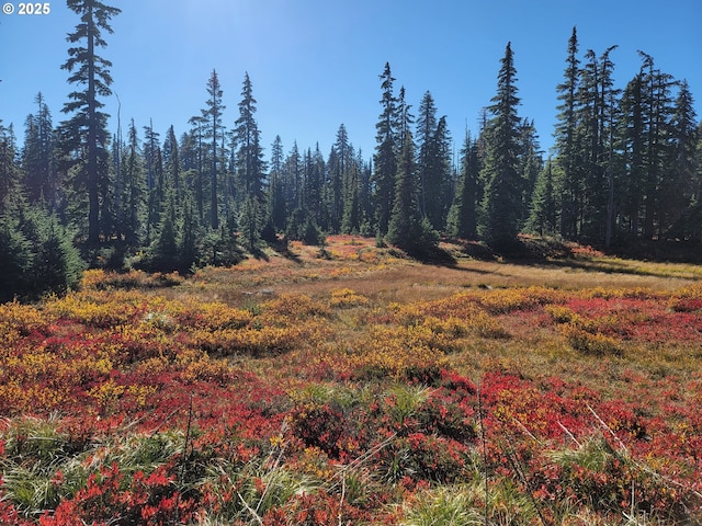 177 Northwoods, Cougar, WA 98616 - view of undeveloped land