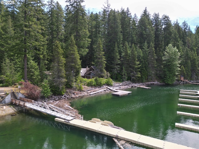 177 Northwoods, Cougar, WA 98616 - dock area featuring a water view and a view of trees