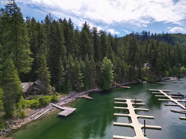 177 Northwoods, Cougar, WA 98616 - water view with a forest and a boat dock