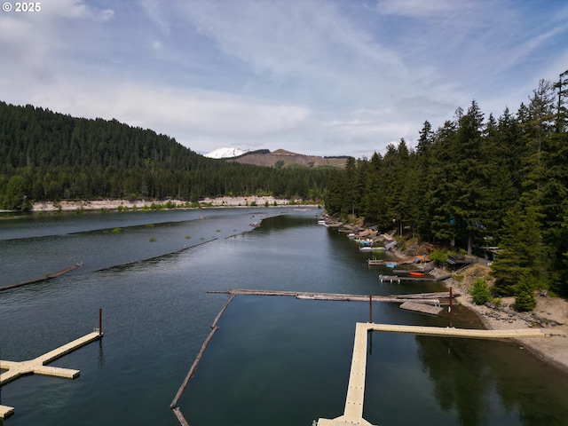 177 Northwoods, Cougar, WA 98616 - water view with a forest, a mountain backdrop, and a boat dock