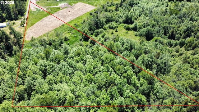 235 Allison Rd, Ethel, WA 98542
