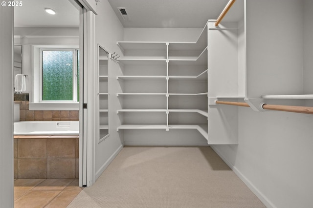 walk in closet featuring carpet flooring