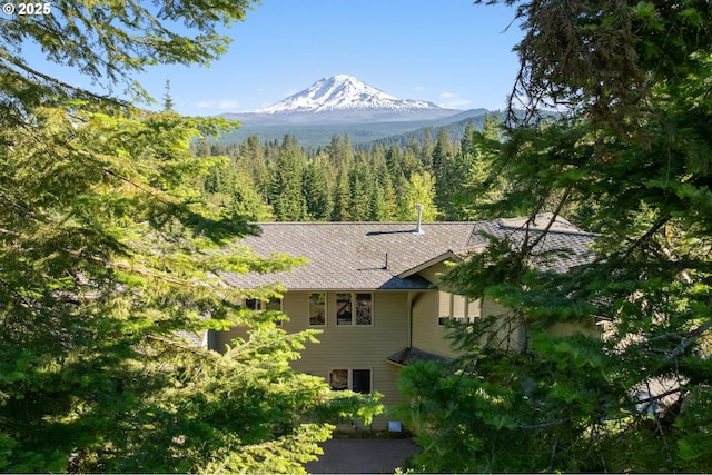 165 Stadelman Dr, Trout Lake, WA 98650 - view of mountain background with a forest
