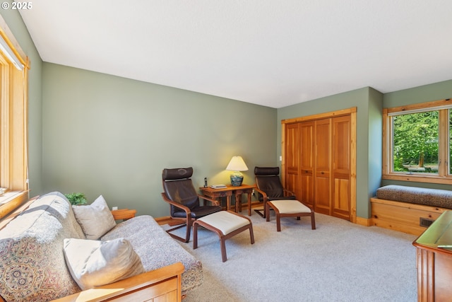 165 Stadelman Dr, Trout Lake, WA 98650 - view of carpeted living room