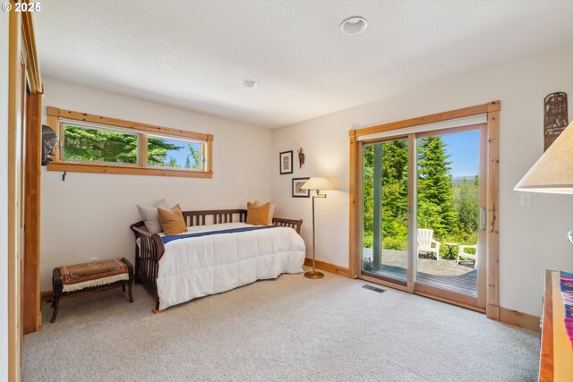 165 Stadelman Dr, Trout Lake, WA 98650 - bedroom featuring access to outside, carpet flooring, and recessed lighting