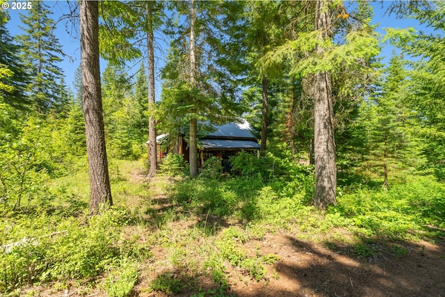 165 Stadelman Dr, Trout Lake, WA 98650 - view of wooded area