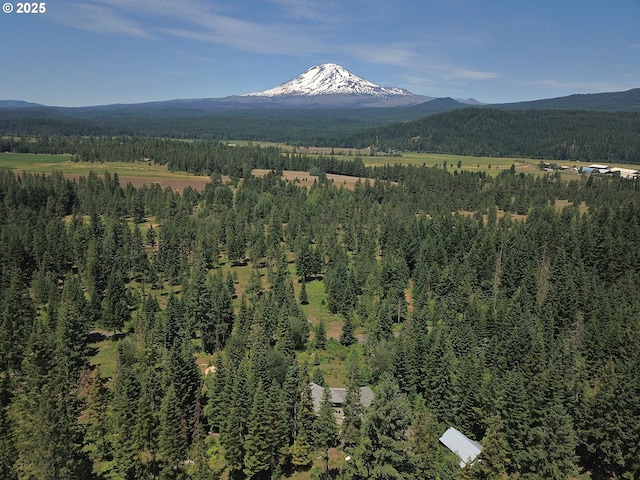 165 Stadelman Dr, Trout Lake, WA 98650 - view of mountain backdrop featuring a forest