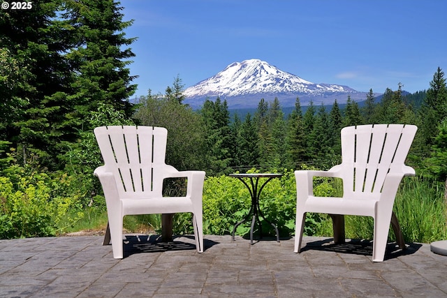 165 Stadelman Dr, Trout Lake, WA 98650 - view of mountain background with a forest