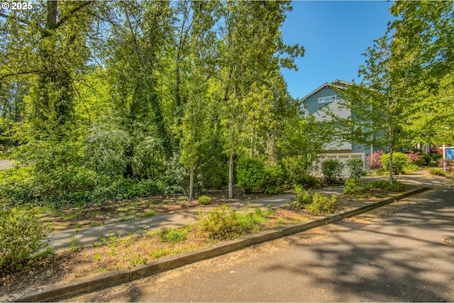surrounding community featuring driveway