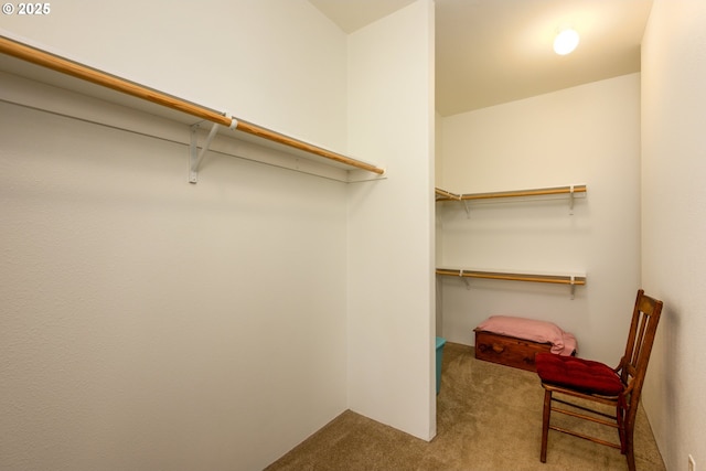 982 Reston Rd, Roseburg, OR 97471 - spacious closet featuring carpet floors