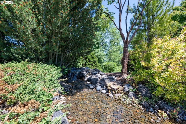 33685 Van Duyn Rd, Eugene, OR 97408 - view of local wilderness
