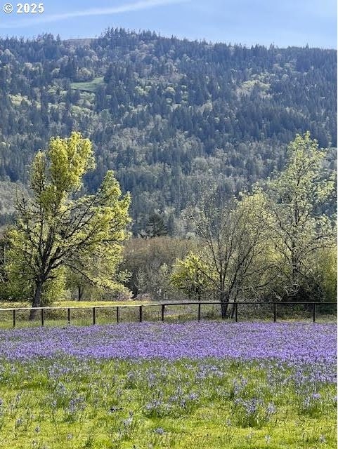 33685 Van Duyn Rd, Eugene, OR 97408 - view of mountain backdrop with a heavily wooded area