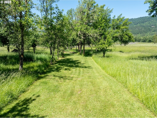 33685 Van Duyn Rd, Eugene, OR 97408 - view of yard